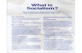 What is Socialism? What are the facts? What are the distortions? … · 2009. 8. 24. · Here's what the Socialist Labor Party says. Who owns what Socialism is the collective ownership