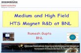 Medium and High Field HTS Magnet R&D at BNLSuperconducting Magnet Division LTHFSW13 Ramesh Gupta Medium and High Field HTS Magnet R&D at BNL November 5, 2013 Slide No. 3 Active HTS