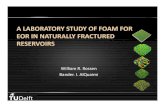 A LABORATORY STUDY OF FOAM FOR EOR IN NATURALLY … faculteit... · 2020. 8. 10. · Foam Generation Velocity Effect Roughness Effect Aperture Effect Gravity Effect Goals and Strategy