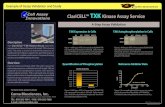 ClariCELL™ TXK Kinase Assay Service - CarnaBio · 2017. 1. 17. · ClariCELL™ TXK Kinase Assay Service 4-Step Assay Validation TXK Expression in Cells TXK Autophosphorylation