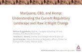 Marijuana, CBD, and Hemp: Understanding the Current Regulatory ...€¦ · 02/05/2019  · mature stalks of such plant, fiber produced from such stalks, oil or cake made from the