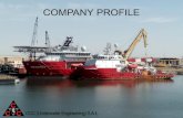 Company Profile - 2020€¦ · provide clients services for submarine cable, umbilical and flexible installation, testing ... various methods for cable / flexible handling, laying