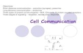 Cell Communication - The Bronx High School of Science...Oct 05, 2013  · Cell Communication Objectives: Short distance communication – autocrine (synapse), paracrine Long distance