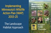 Implementing Minnesota’s Wildlife Action Plan (WAP) The ......(CFAs) identified in the WAP. • The pool of 36 CFAs were identified based on needs and opportunities for working with