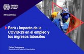 Perú › Impacto de la COVID-19 en el empleo y los ingresos ......Perú: Proyección preliminar del impacto de la COVID-19 en la población ocupada, 2020 (Miles de personas) La elevada