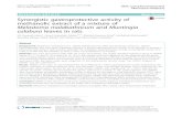 Synergistic gastroprotective activity of methanolic extract of a … · 2017. 11. 9. · RESEARCH ARTICLE Open Access Synergistic gastroprotective activity of methanolic extract of