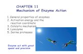 CHAPTER 11 Mechanism of Enzyme Action · 2009. 10. 8. · CHAPTER 11 Mechanism of Enzyme Action 1. General properties of enzymes 2. Activation energy and the reaction coordinate 3.