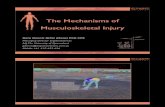 The Mechanisms of Musculoskeletal Injury · PN12272; Presentation 4: The anatomy of an MSD - Musculoskeletal Disorders Symposium; 2017; Dr Gary Dennis; musculoskeletal Created Date: