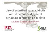 Use of esterified palm acid oils with different acylglycerol … · 2015. 9. 17. · P-EL Esterified palm acid oil low in MAG and DAG P-EH Esterified palm acid oil high in MAG and