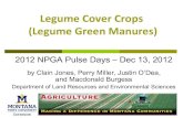 Legume Cover Crops (Legume Green Manures) · 2020. 10. 13. · LGMs and mixed cover crops on subsequent crop . Study 1: Three 2-year cycles, no-till and till, plot scale