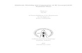 Multiscale Modeling and Computation of 3D Incompressible ...Multiscale Modeling and Computation of 3D Incompressible Turbulent Flows Thesis by Xin Hu In Partial Ful llment of the Requirements