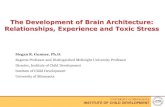 The Development of Brain Architecture: Relationships ......The Development of Brain Architecture: Relationships, Experience and Toxic Stress Megan R. Gunnar, Ph.D. Regents Professor