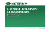 Fossil Energy Roadmap · 2020. 12. 1. · The Fossil Energy Roadmap (FE Roadmap) was written to satisfy the congressional request in the explanatory statement accompanying the Consolidated