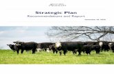 AgriLife Strategic Plan - Final Report · 2021. 1. 12. · Strategic Plan Recommendations and Report December 17, 2020 AGRILIFE STRATEGIC PLANNING OVERVIEW 2020-2025 A Roadmap for