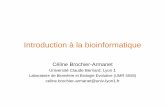 Introduction à la bioinformatique · 2016. 3. 21. · Introduction à la bioinformatique Céline Brochier-Armanet Université Claude Bernard, Lyon 1 Laboratoire de Biométrie et