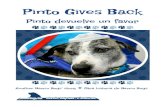 Pinto Gives Back - Barrio DogsPinto with Lisa, Aurora, Jesse and Eva Pinto fue uno de los miles de animales maltratados de Houston. Él es uno de los pocos afortunados que sobrevivió