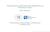 The Geometry of Divisors with Multiplicity on Projective Curves · 2017. 2. 13. · A tour of Brill-Noether theory Results about the geometry of the gr d-s and their corresponding