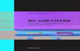Snezana Lazarevic - MDRI-S · 2015. 7. 1. · Snezana Lazarevic MY SON STEFAN One family's struggle with public education and autism February 2012. Publisher: Mental Disability Rights