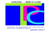 VADE - MECUM · 2020. 9. 2. · VADE - MECUM TRAVAIL PERSONNEL DE CERTIFICAT ECG ELLA-MAILLART 2020-2021 . Page 2 sur 28 Table des matières I. Calendrier des étapes .....3 II. Présentation