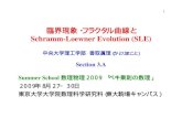 臨界現象・フラクタル曲線と Schramm-Loewner Evolution …...1 臨界現象・フラクタル曲線と Schramm-Loewner Evolution (SLE) 中央大学理工学部香取眞理（かとりまこと）