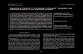 Experimental Pulmonary Fat Embolism: Computed Tomography … · 2008. 8. 26. · logic findings, including the computed tomography (CT) findings, of the sequential changes in the