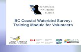 Birds Canada | Oiseaux Canada | - BC Coastal Waterbird ......71 Surf Scoter, 6 Long- tailed Duck, 1 Barrow’s Goldeneye, 1 Black Scoter 95% Surf Scoter, 4% Long-tailed Duck , 1% other