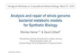 for Synthetic Biology bacterial metabolic models Analysis ... · bacterial engineering / Synthetic Biology Whole genome metabolic models engineering design templates Need for ‘correct’