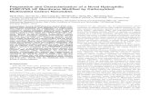 Preparation and Characterization of a Novel Hydrophilic ...download.xuebalib.com/xuebalib.com.52631.pdfPreparation and Characterization of a Novel Hydrophilic PVDF/PVA UF Membrane