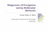 Diagnosis of Fungemia using Molecular Methods - Amazon S3 · 2013. 10. 21. · Sepsis Diagnosis Blood culture, the gold standard in diagnosis of bacterial and fungal BSI, typically