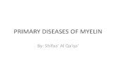 PRIMARY DISEASES OF MYELIN - كلية الطب•Axonal neuropathies: - Axonal degeneration is associated with secondary myelin loss---- Wallerian degeneration---- The entire distal