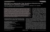 Nanoporous Atomically Thin Graphene Membranes for ......Nanoporous Atomically Thin Graphene Membranes for Desalting and Dialysis Applications Piran R. Kidambi,* Doojoon Jang, Juan-Carlos