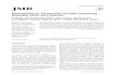 Determinants for Escherichia coli RNA Polymerase Assembly ...lab.rockefeller.edu/chait/pdf/97/97_wang_j-mol-biol.pdfDeterminants for Escherichia coli RNA Polymerase Assembly within