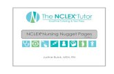 NCLEX Nursing Nugget Pages...NCLEX® Nursing Nugget Pages includes the most common and important content that you'll get tested on in nursing school and the NCLEX exam. I've included