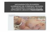 2Propuesta implementación Screening - WordPress.com · 2014. 10. 13. · 4. First day of life pulse oximetry screening to detect congenital heart defects. J Pediatr 2008. Meberg