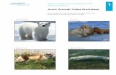 Arctic Animals and a Changing Climate Student Handout 1 · 2008. 9. 24. · 1 Arctic Animals Video Worksheet polAr beAr WAlrus Arctic fox belugA WhAle As you watch the video, write