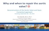 Why and when to repair the aortic valve? · 2019. 9. 18. · Arabkhani et al. Reported Outcome After Valve-Sparing Aortic Root Replacement for Aortic Root Aneurysm: A Systematic Review