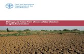 Damage and losses due to weather and climate-related ...The last three decades have witnessed a notable rise in disasters worldwide - especially climate-related events such as droughts,