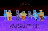 JOB OPPORTUNITIES AT BRANSBY HORSES · 2019. 11. 6. · Bransby Horses is proud to provide so many equines with sanctuary care. Many rescued horses have long-term medical problems