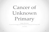 Cancer of Unknown Primay - STH of Unknown... · 2015. 7. 14. · 1. Adenocarcinoma metastatic to the liver or other organs 2. Non-papillary malignant ascites 3. Multiple cerebral