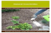 Natural Insecticides - Montana State University · 2017. 1. 9. · 1 Natural Insecticides Natural insecticides can be chemical, mineral, or bio-logical. The common goal of all three