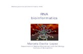 RNA bioinformatics - Göteborgs universitetbio.lundberg.gu.se/courses/ht09/genomics/2009_RNA...RNA bioinformatics 26 IRE: Iron responsive element Essential for oxygen transport, cellular
