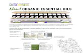 New! ORGANIC ESSENTIAL OILS - Aura Caciacrc.auracacia.com/sellsheets/AC-SS-EO-Organic-Line...Pure Essential Oil HINGE: NO INK/VARNISH AREA LAVENDER ORGANIC FRENCH relaxing NET.25FL