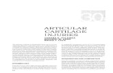 ARTICULAR CARTILAGE INJURIES...Acute articular cartilage injuries that lead to mechanical damage to cellular and matrix components can occur through blunt trauma, penetrating injury,