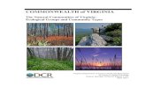 COMMONWEALTH of VIRGINIA · 2017. 5. 15. · COMMONWEALTH of VIRGINIA . The Natural Communities of Virginia: Ecological Groups and Community Types . Virginia Department of Conservation