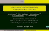 Electrostatic Basis of Selectivity in Biological Ion Channels · 2016. 4. 15. · Eisenberg, “Energetics of discrete selectivity bands and mutation-induced transitions in the calcium-sodium