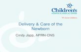 Delivery & Care of the Newborn - Creighton University · 2012. 2. 15. · Neonatal Resuscitation •The most important and effective action in neonatal resuscitation is to ventilate
