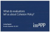 What do evaluations tell us about Cohesion Policy?...CZ SK PL HU CZ HU PL SK origin of company/capital…. Cooperation within V4 generated turnover of approx. EUR 2.8 billion, more