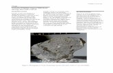 77135 Vesicular Poikilitic Impact Melt Rock 337.4 g, 10.3 x 8 ......SAMPLE 77135-267 77135 Vesicular Poikilitic Impact Melt Rock 337.4 g, 10.3 x 8.0 x 4.0 cm INTRODUCTION Sample 77135