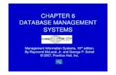 CHAPTER 6 DATABASE MANAGEMENT SYSTEMS ......entities will exist: firm, employee, and product (Figure 6.9) • When firms hire employees, however, there is an independent relationship