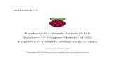 Raspberry Pi Compute Module (CM1) Raspberry Pi Compute ... The Raspberry Pi Compute Module (CM1), Compute